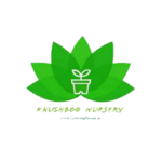 Khushboo Nursery